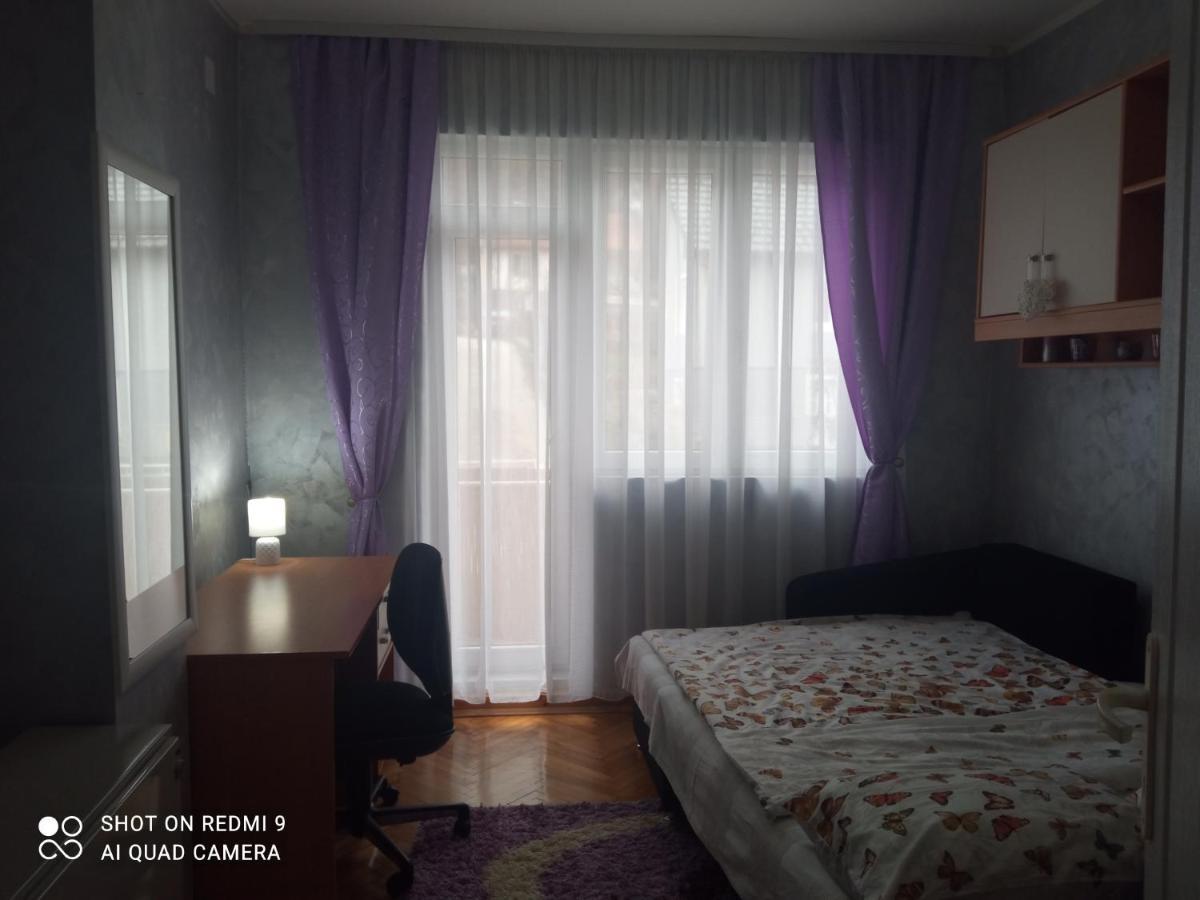 Apartman ,,Milica" Donji Milanovac Exterior foto