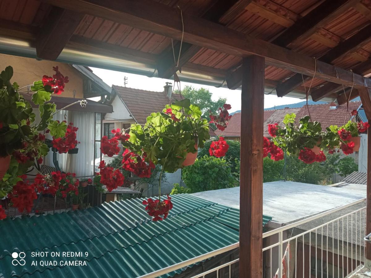Apartman ,,Milica" Donji Milanovac Exterior foto